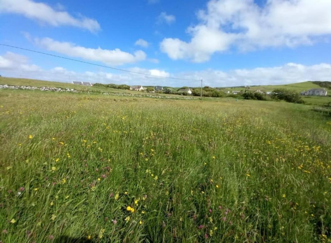 Wild Meadow Huts Villa Doolin Exteriör bild