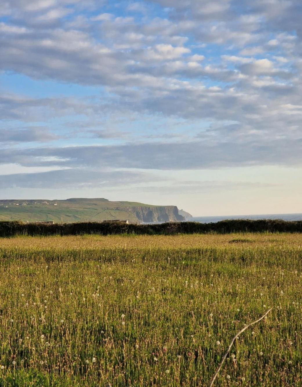 Wild Meadow Huts Villa Doolin Exteriör bild