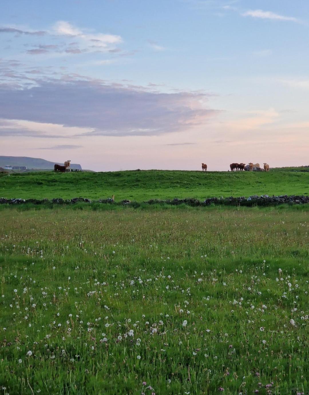 Wild Meadow Huts Villa Doolin Exteriör bild