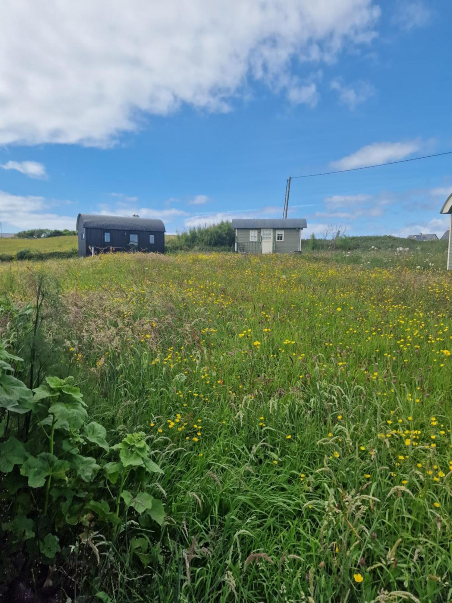 Wild Meadow Huts Villa Doolin Exteriör bild