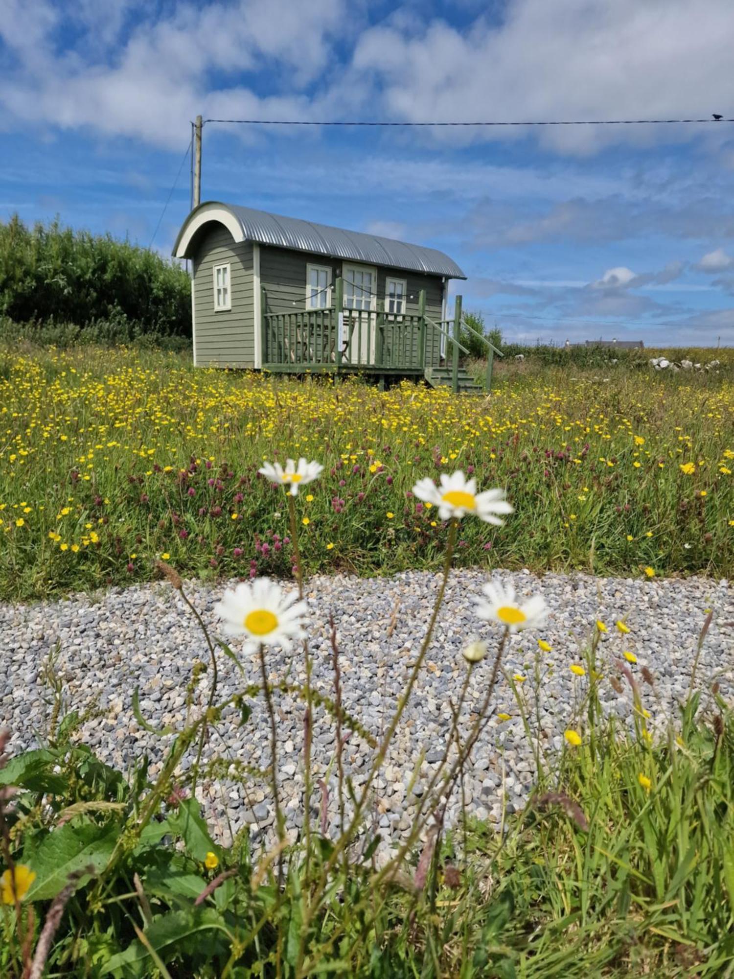 Wild Meadow Huts Villa Doolin Exteriör bild