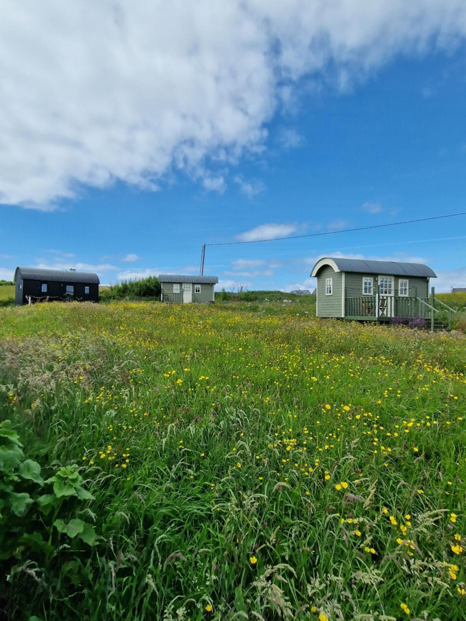 Wild Meadow Huts Villa Doolin Exteriör bild