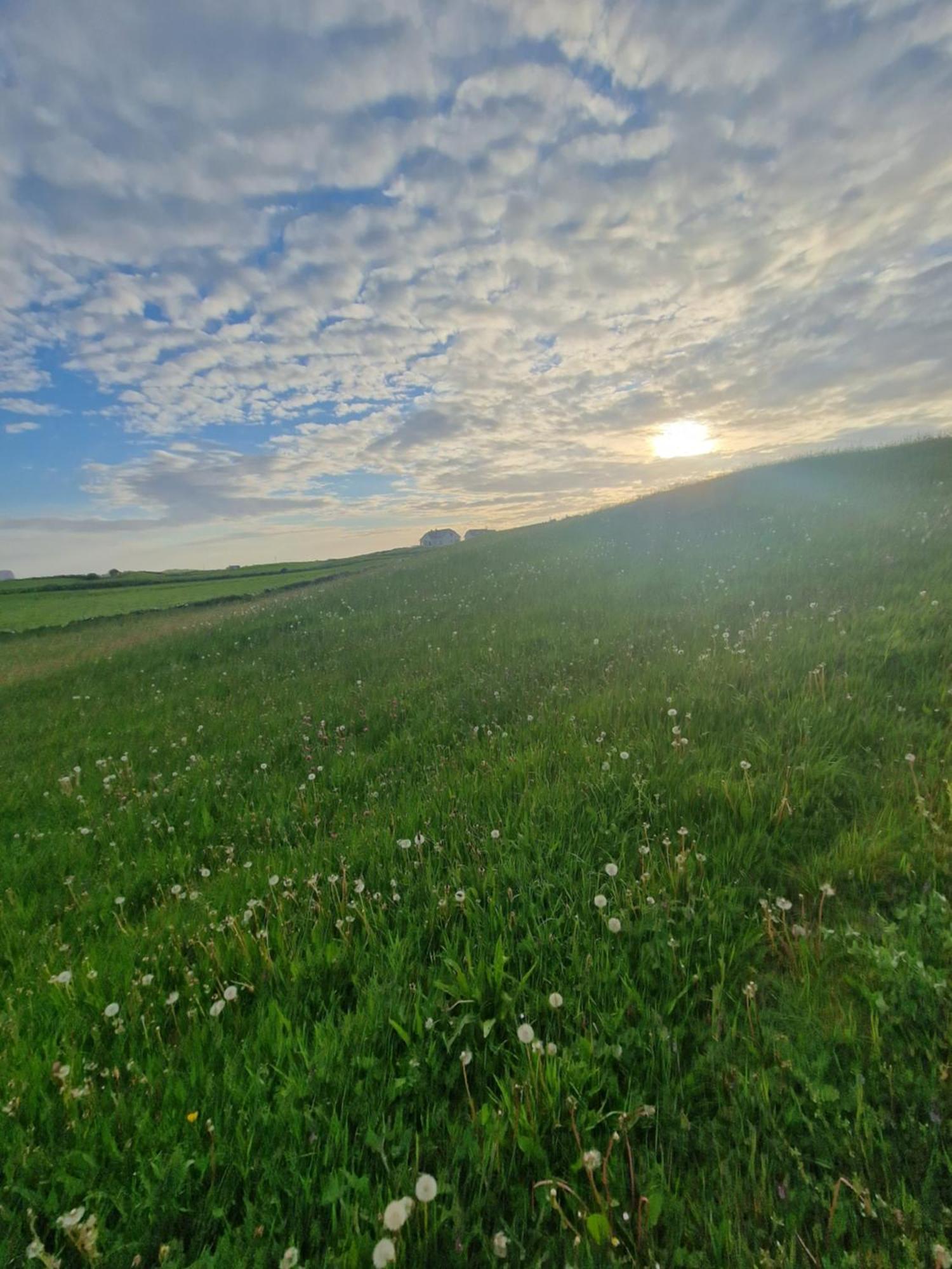 Wild Meadow Huts Villa Doolin Exteriör bild
