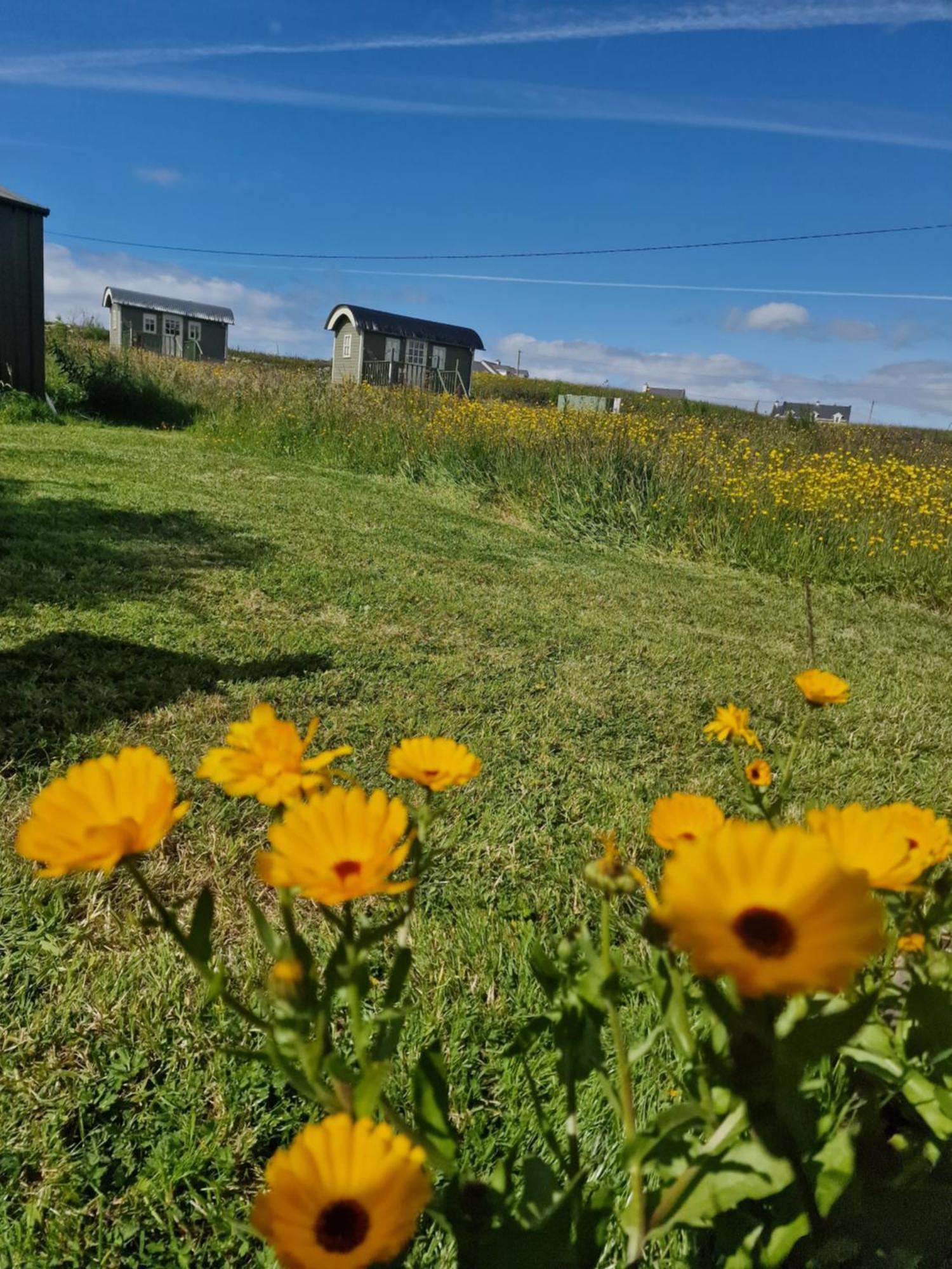Wild Meadow Huts Villa Doolin Exteriör bild
